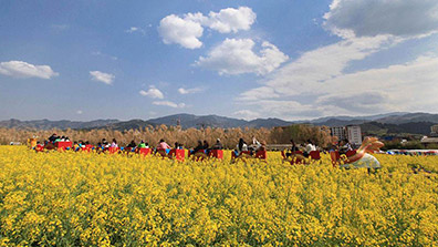 休閑農(nóng)業(yè)觀光園規(guī)劃設(shè)計要兼顧科學與合理性