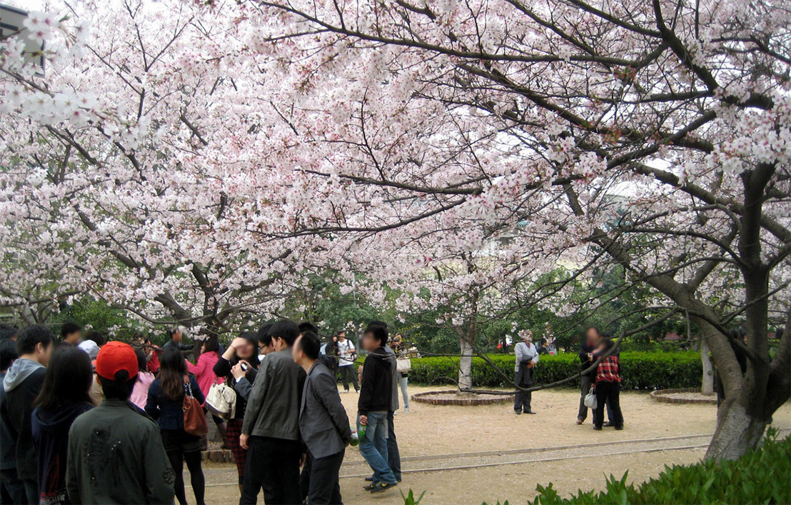 大學(xué)校園景觀規(guī)劃設(shè)計(jì)圖片