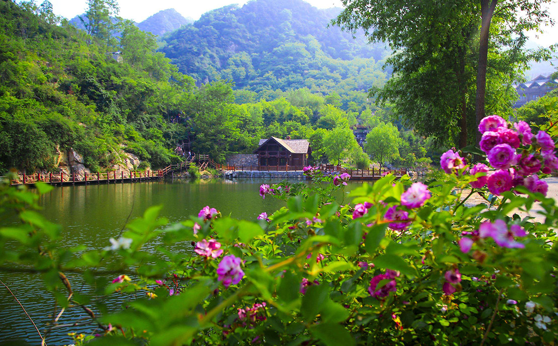 森林公園植物景觀設計圖片