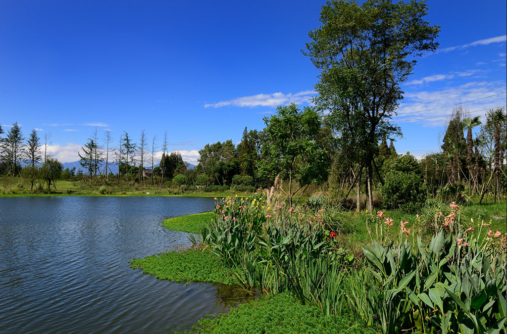 濕地公園2