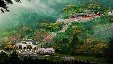 風景園林規(guī)劃中的生態(tài)修復(fù)策略
